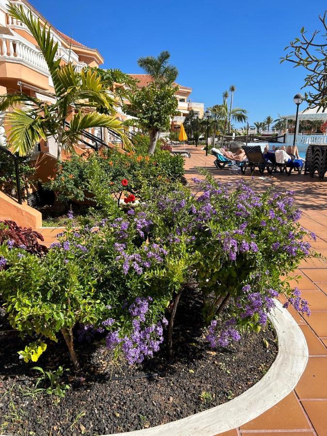 Comfort Apartment En Tenerife Royal Gardens Playa de las Americas  Ngoại thất bức ảnh